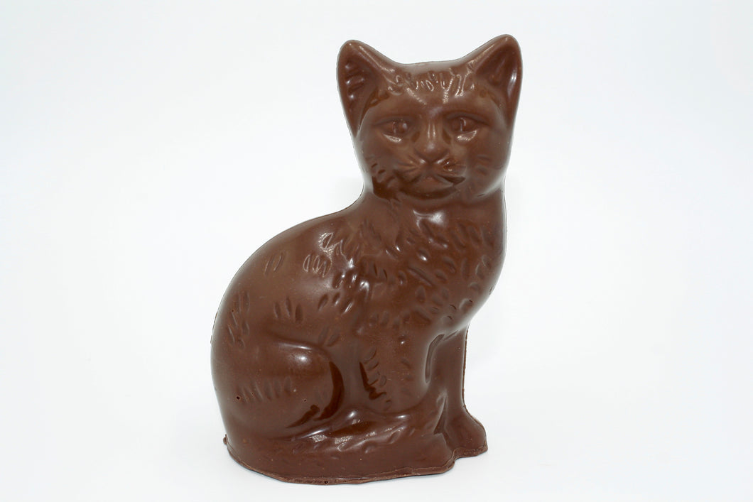 Swiss Chocolate Sitting Cat