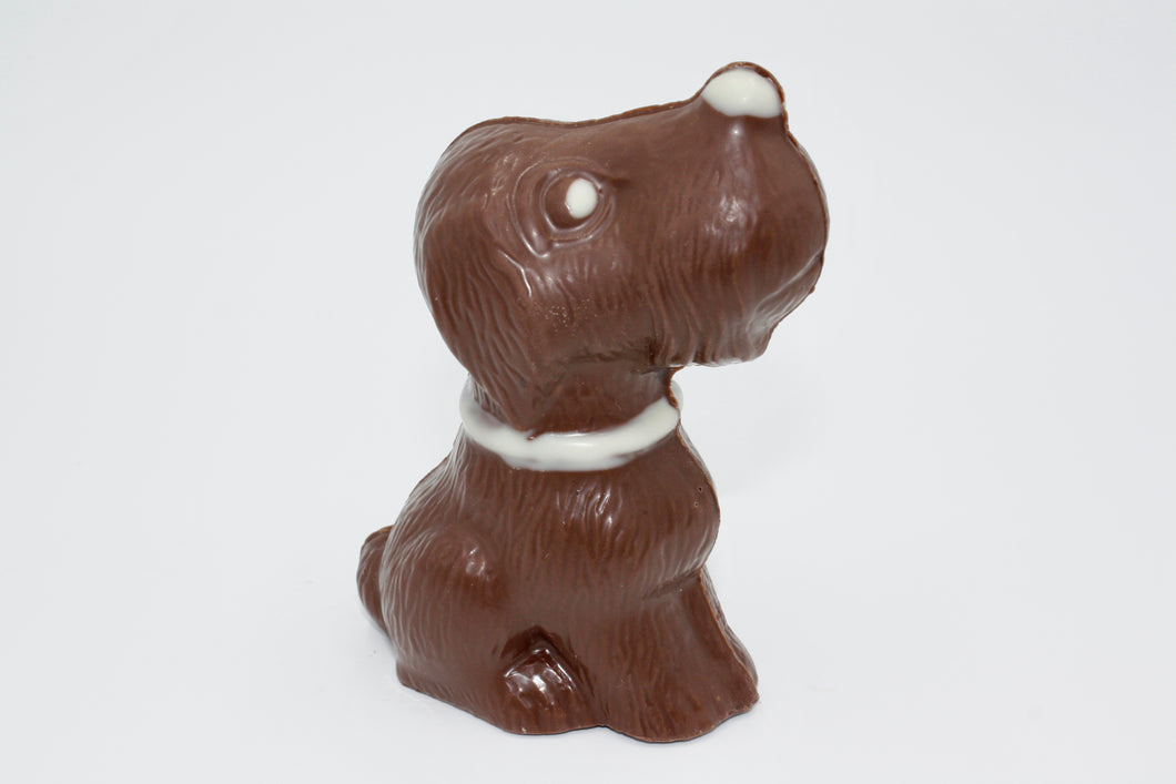 Swiss Chocolate Sitting Scottie Dog