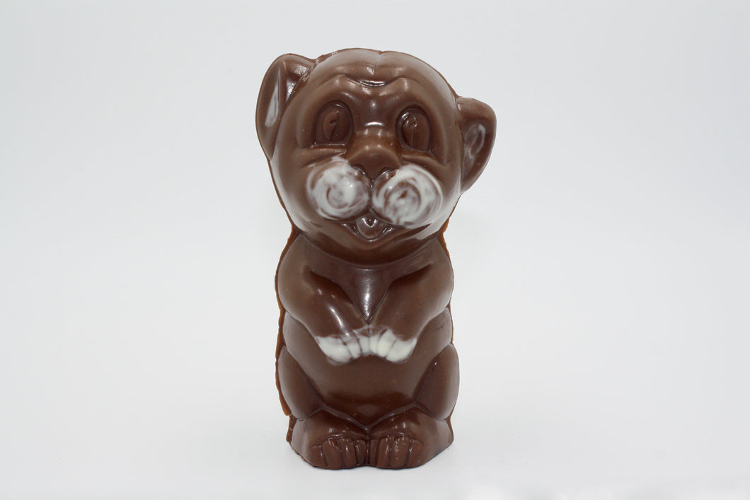 Swiss Chocolate Sitting Pup