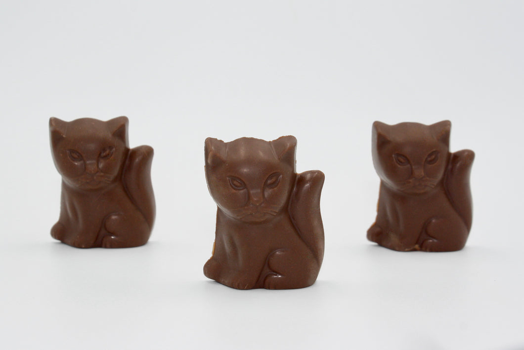 Swiss Chocolate Cat Pack
